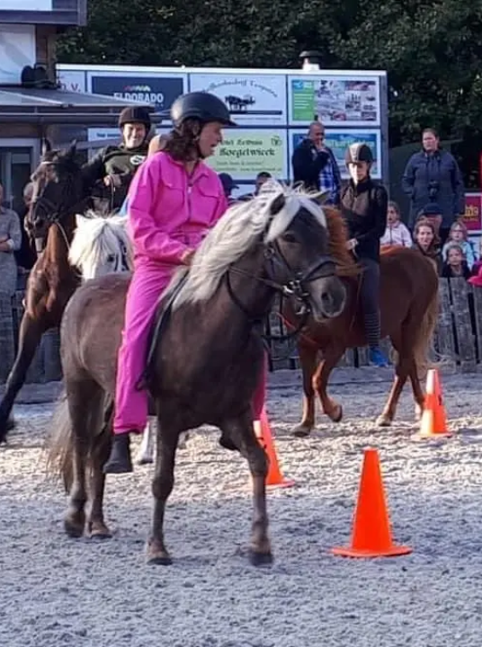 Stoelendans te paard Formerum - VVV Terschelling - Wadden.nl