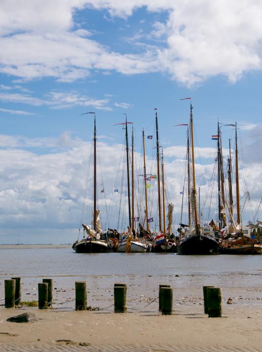 Inselhopping - Wadden.nl