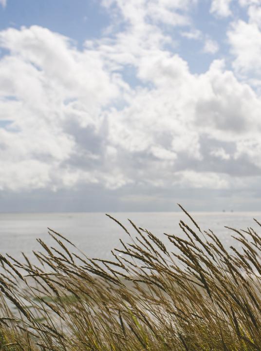 80 jaar bevrijding - Wadden.nl