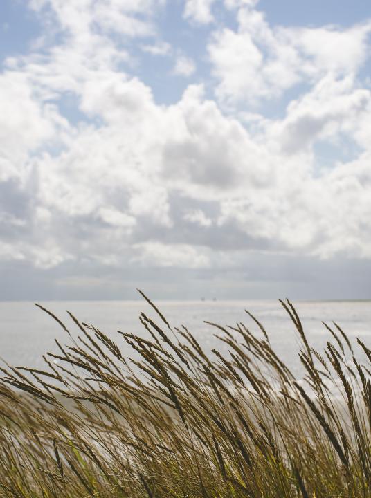 Aussichtspunkte auf Schiermonnikoog - Wadden.nl