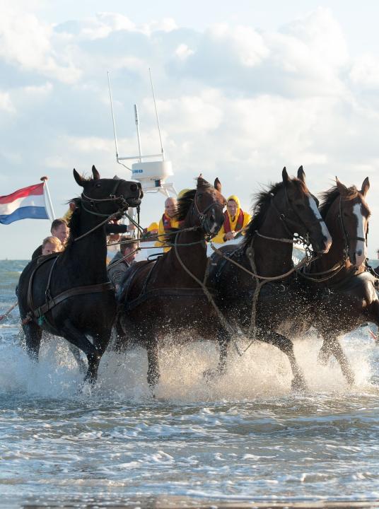 Demonstratie paardenreddingboot - VVV Ameland  - Wadden.nl