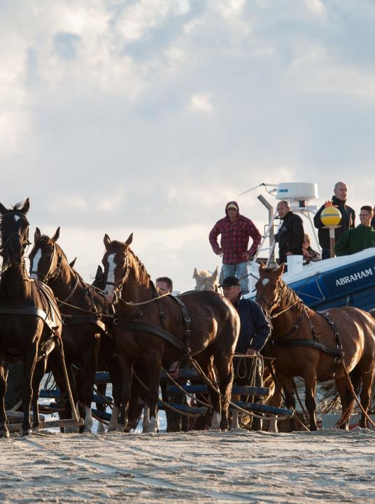 Demonstratie paardenreddingboot - Wadden.nl - VVV Ameland