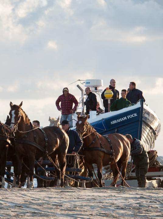 Demonstratie paardenreddingboot - VVV Ameland - Wadden.nl