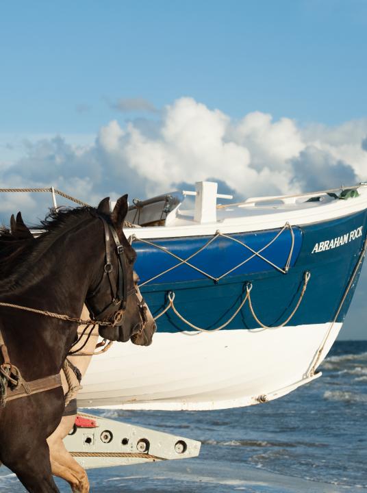 Demonstratie paardenreddingboot op Ameland