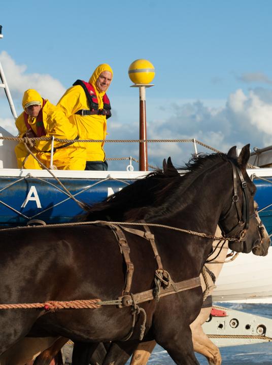 Demonstratie paardenreddingboot - VVV Ameland - Wadden.nl