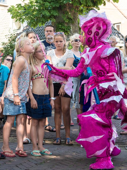 Rôggefestival - Wadden.nl - VVV Ameland