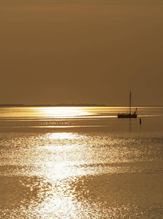 Wadden - Wadden.nl