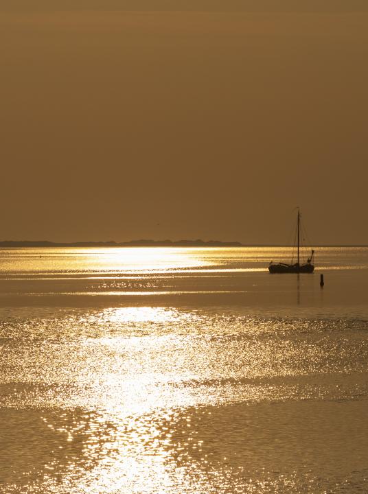 De Wadden - Wadden.nl 