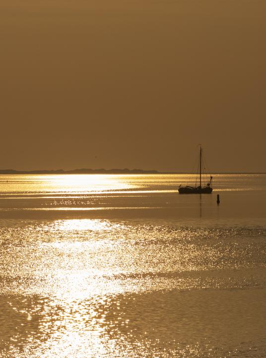 Wadden - Wadden.nl