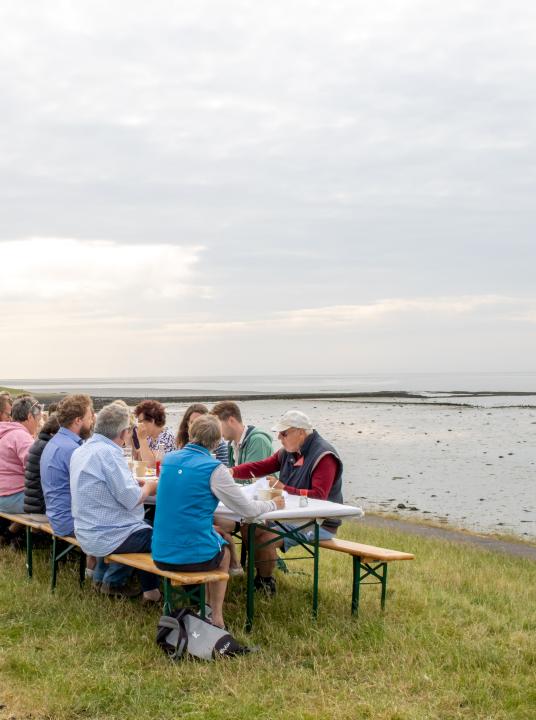 Dag van het Wad - VVV Terschelling - Wadden.nl