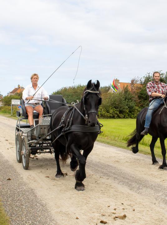 Harddraverij - VVV Terschelling - Wadden.nl