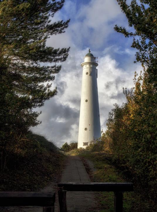 Soloconcerten in de Zuidertoren - VVV Schiermonnikoog - Wadden.nl