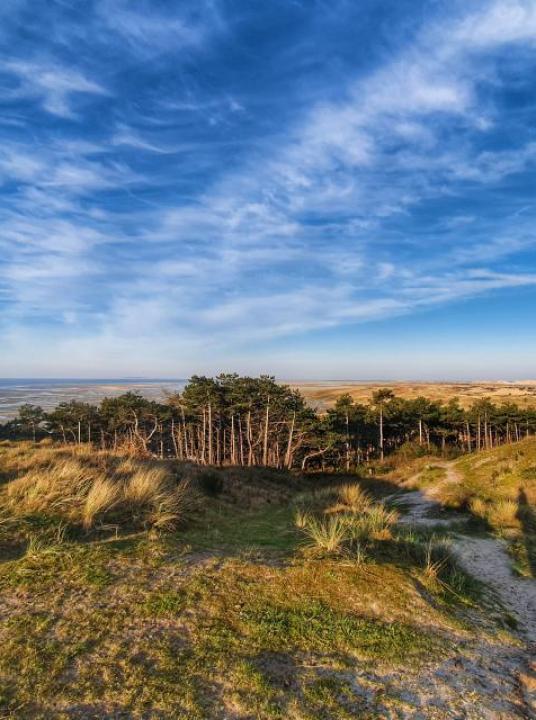 Terschellinginspiration - VVV Terschelling - Wadden.nl