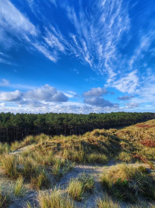 Aussichtspunkte auf Terschelling - Wadden.nl