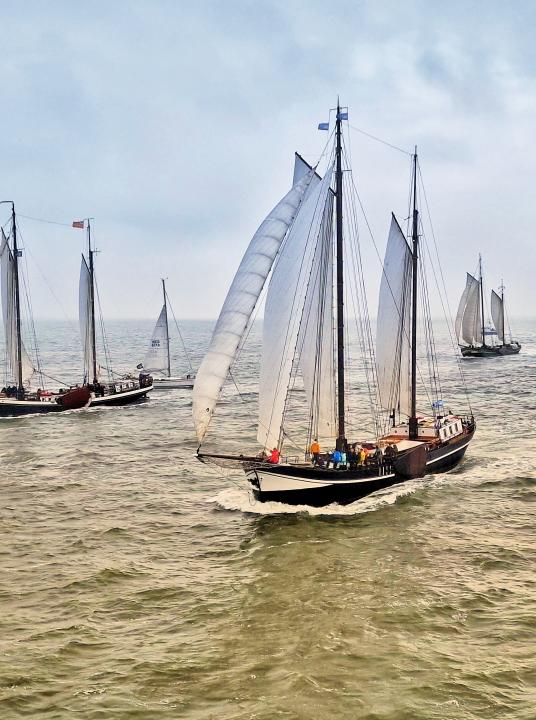 Wattenkalender - Wattenmeer, das muss man erlebt haben! - Wadden.nl