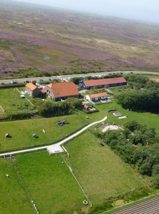 BUTE bij De Bonte Belevenis - VVV Texel - Wadden.nl