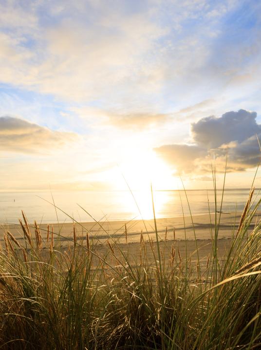 Kom vakantie vieren en overnachten op de prachtige waddeneilanden Texel, Vlieland, Terschelling, Ameland en Schiermonnikoog - Wadden.nl