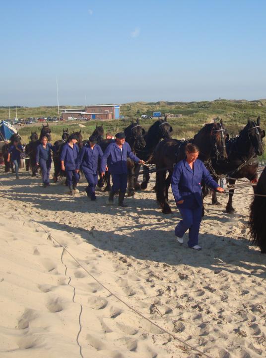 Demonstratie paardenreddingboot - VVV Terschelling - Wadden.nl