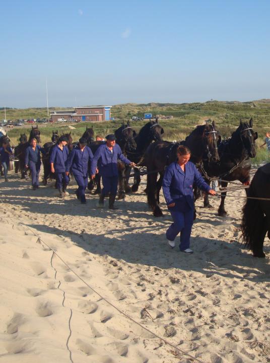 Demonstration Ruderrettungsboot - VVV Terschelling - Wadden.nl