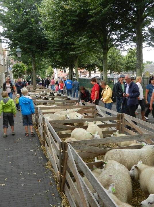 Beestenmerk Midsland - VVV Terschelling - Wadden.nl