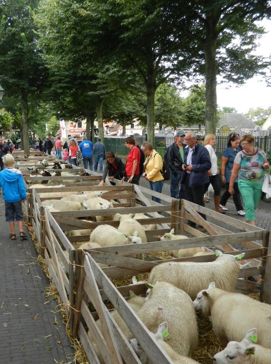 Beestenmerk Midsland - VVV Terschelling - Wadden.nl