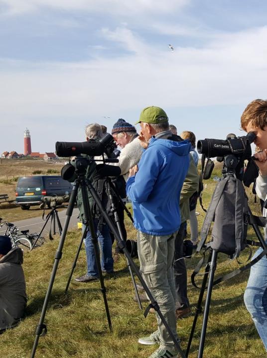 Wadden Bird Festival - VVV Texel - Wadden.nl