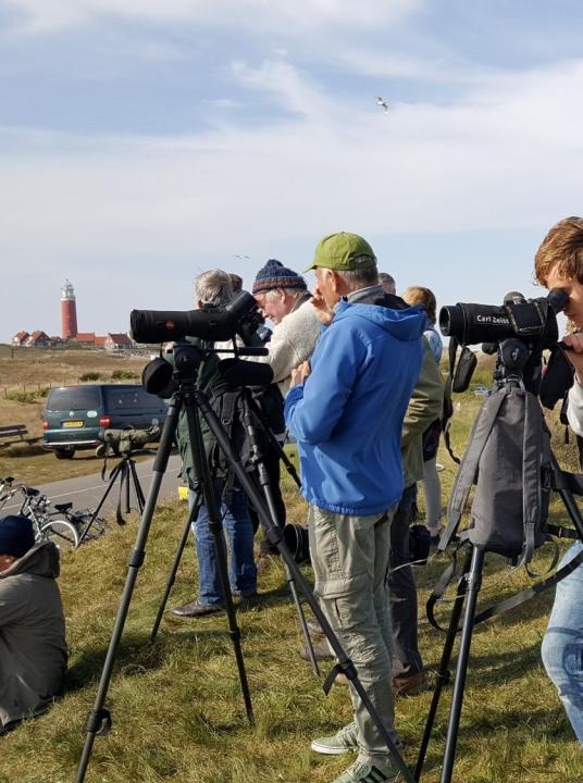 Waddenvogelfestival - VVV Texel - Wadden.nl