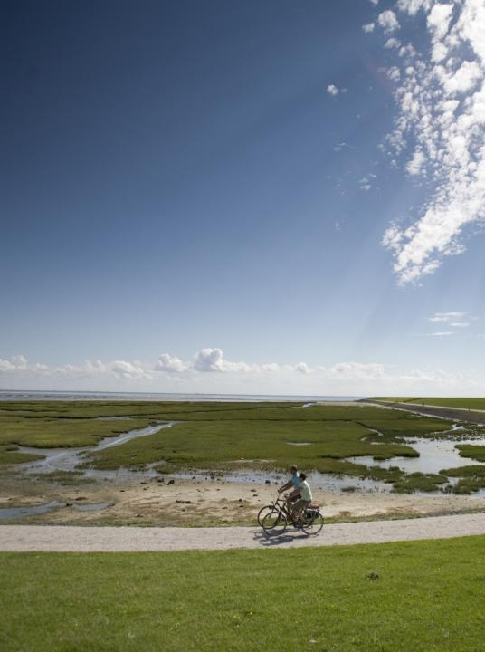 Dag van het Wad - VVV Terschelling - Wadden.nl