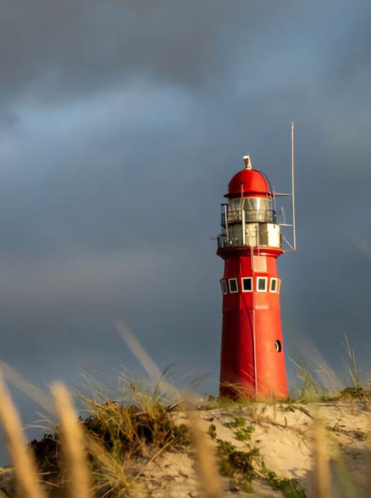Beobachten Sie die Webcams der Wattenmeerinsel Schiermonnikoog - Wadden.nl