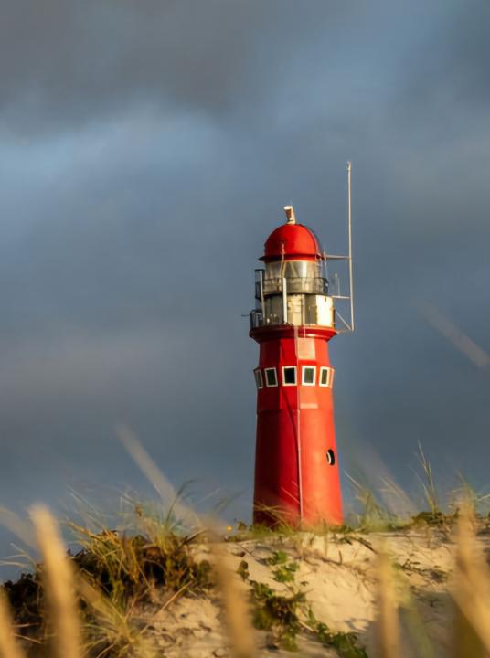 Watch webcams of wadden island Schiermonnikoog - Wadden.nl