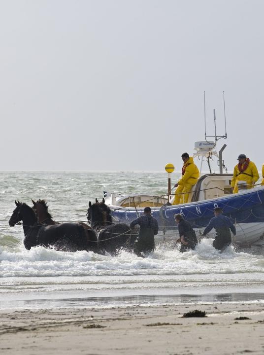 On the Wadden Islands of Texel, Vlieland, Terschelling, Ameland and Schiermonnikoog, you never have to be bored! - Wadden.nl