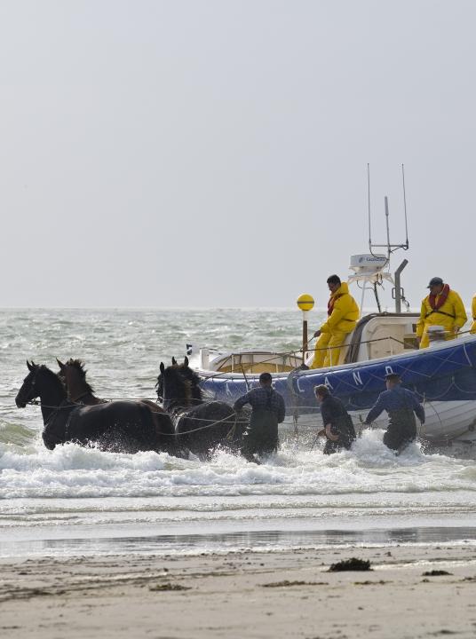 Op de waddeneilanden Texel, Vlieland, Terschelling, Ameland en Schiermonnikoog hoef je je nooit te vervelend! - Wadden.nl