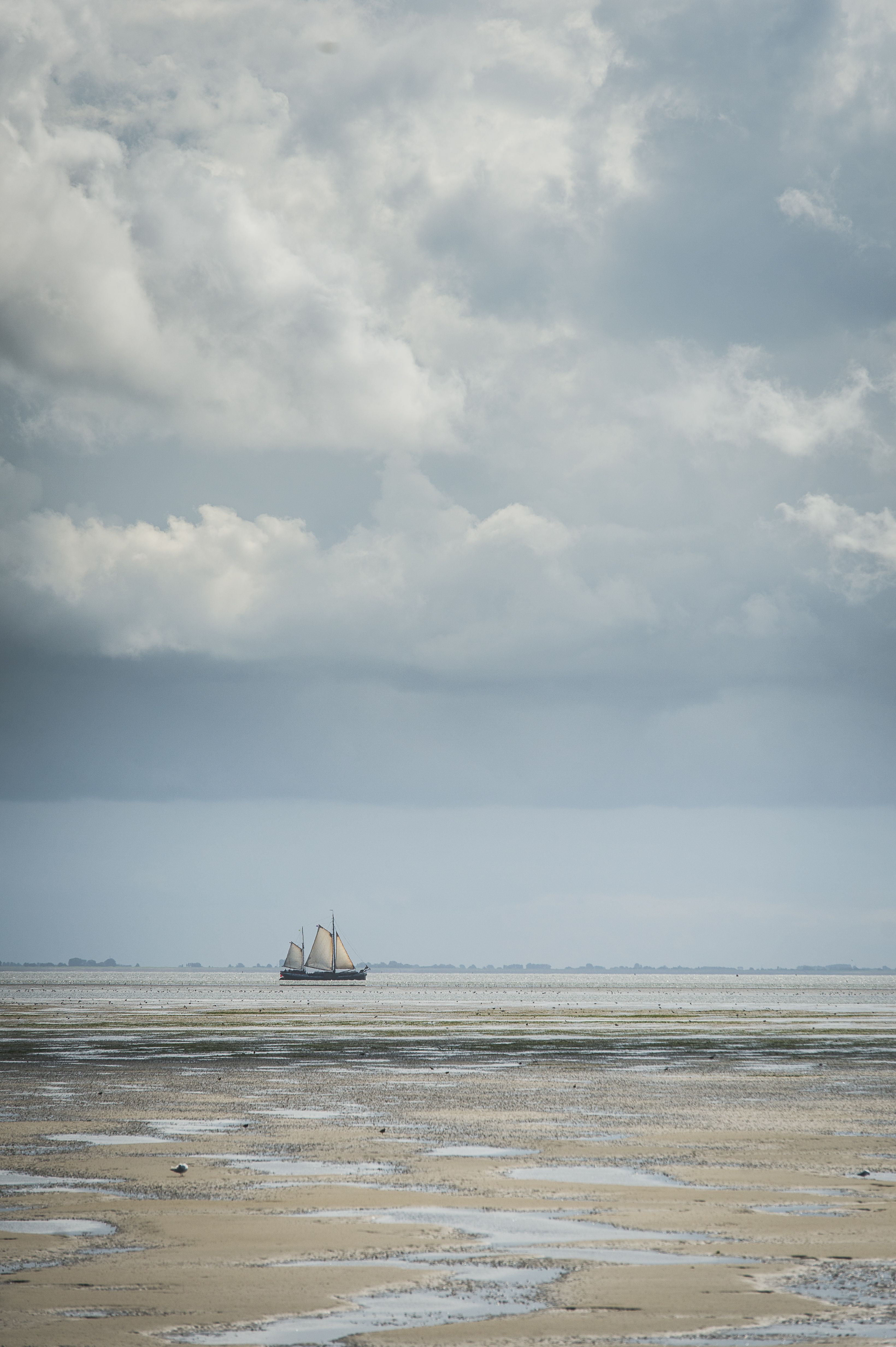 Waddenzee Werelderfgoed - Wadden.nl